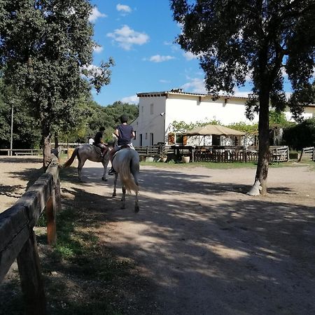 Casa Rural, Can Cirera Seriñá Zewnętrze zdjęcie