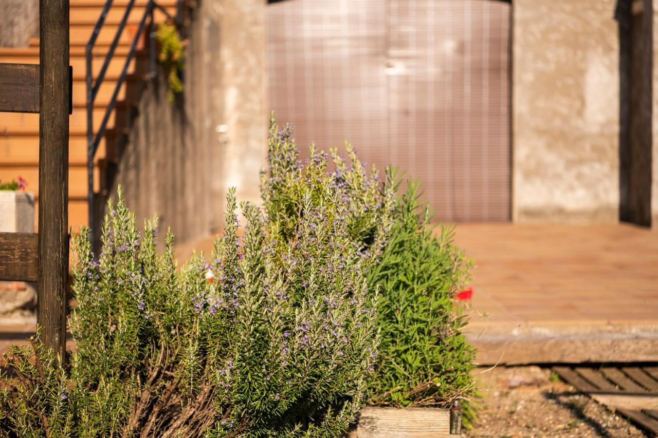 Casa Rural, Can Cirera Seriñá Zewnętrze zdjęcie