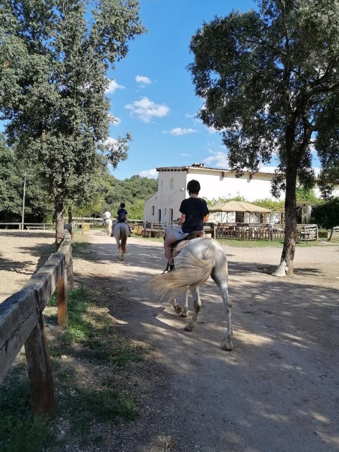 Casa Rural, Can Cirera Seriñá Zewnętrze zdjęcie